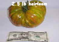 2.5 lbs.heirloom jpg