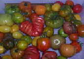 typical selections heirlooms